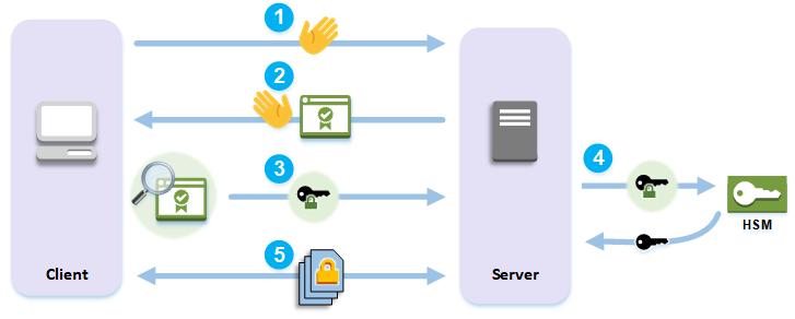 Overview How SSL/TLS Offload with AWS CloudHSM Works To establish an HTTPS connection, your web server performs a handshake process with clients.