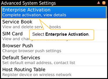 4. On the Advanced System Settings screen, select