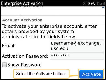 5. On the Enterprise Activation screen, you must populate the Email: and Activation Password: fields. Enter your correctly formatted e-mail address (see NOTE below) and your activation password.