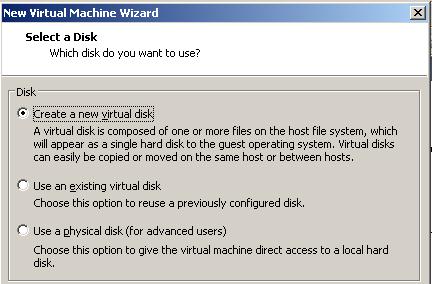 Choose Create a new virtual disk in the Select a Disk