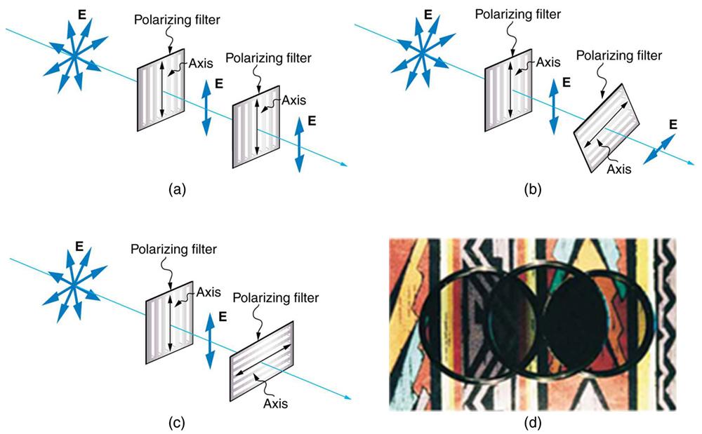 Chapter 27 Wave Optics 1085 Figure 27.41 The effect of rotating two polarizing filters, where the first polarizes the light.