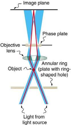 Chapter 27 Wave Optics 1093 through different parts of a phase plate (so called because it shifts the phase of the light passing through it).