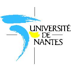 Université de NANTES - One unique Metametamodel (the MOF)" - An important library of