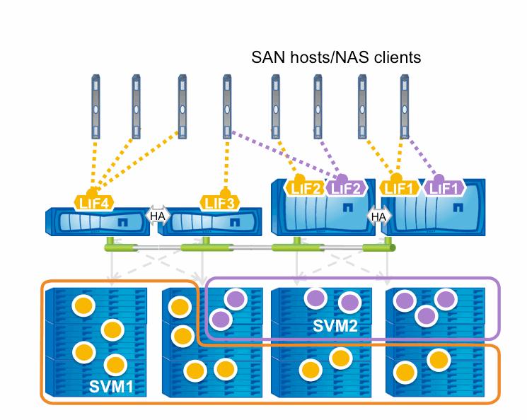 Although the volumes and LIFs in each SVM share the same physical resources (network ports and storage aggregates), a host or client can access the data in SVM1 only through a LIF defined in that