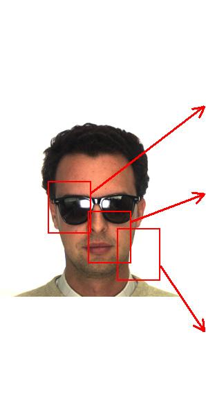 (a) (b) (a) (b) (c) (d) Fig 2 An overview of the proposed method (a) Red boxes represent search regions for three examples of feature detectors (b) Feature maps of right eye corner (top), a nose part