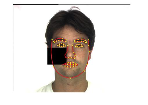 Fig 6 Face alignment results on images of ARDB (1-4 columns) and images which occlusions were generated artificially: The first row shows face detection result The second and the third rows show