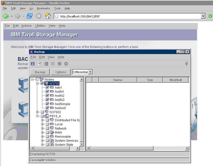 Now we launch the IBM Tivoli Storage Manager Backup and Restore Web client.