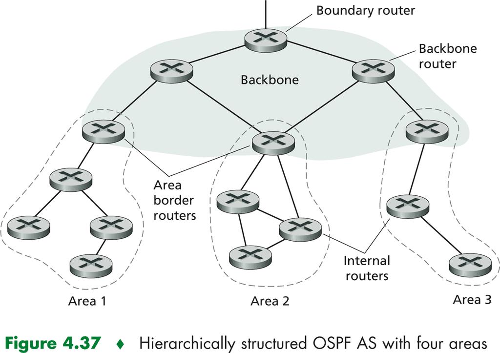 OSPF: routers classification