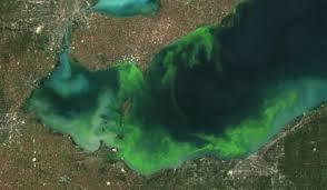 Great Lakes Applications Thermal Discharge High resolution data provides much better assessment on the magnitude of
