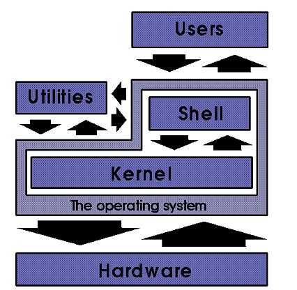 8 Linux Operating System There are two major components of Linux, the kernel and the shell The kernel is the core of the Linux operating system which