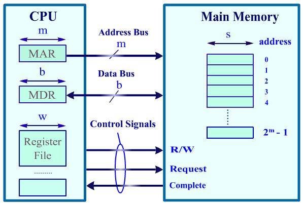Address Bus CPU Memory Interface Memory address is put on address bus If memory address = m bits then 2 m locations are addressed Data Bus: b-bit bi-directional bus Data can be transferred in both