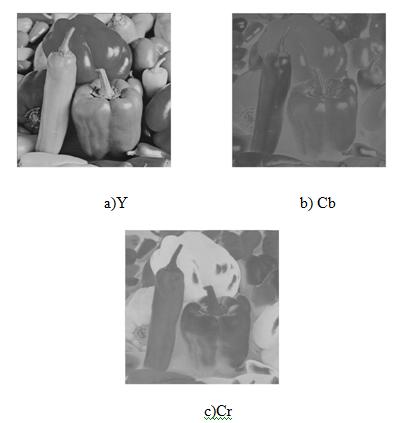 Figure 6. Image Component Y, Cb and Cr Figure 7. Component Y and Cb and Cr which have been in SubSampling. Figure 8.
