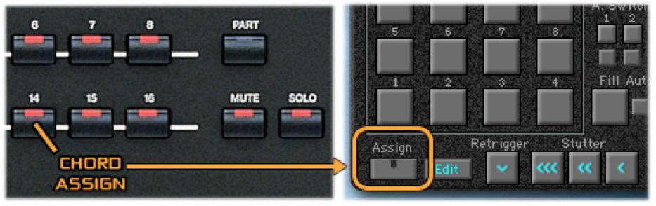Chord Assign You can assign your own chords to KARMA s Chord Triggers using the Chord Assign button, which has been mapped to the S90 XS s HID button [14].