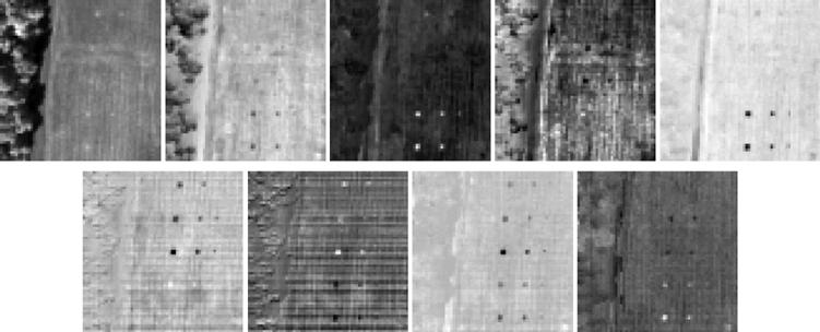 IEEE TRANSACTIONS ON GEOSCIENCE AND REMOTE SENSING, VOL. 44, NO. 6, JUNE 2006 1597 Fig. 14. Panel pixels extracted by N-FINDR algorithm using PCA-DR. Fig. 10.