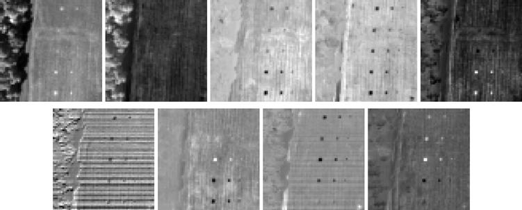Panel pixels extracted by N-FINDR algorithm using ICA-DR1(2). Fig. 12. Nine ICs produced by ICA-DR1(2). Fig. 17.