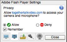 A small window may appear, asking you to check your Adobe Flash Player Settings: 1. Select Allow. 2.