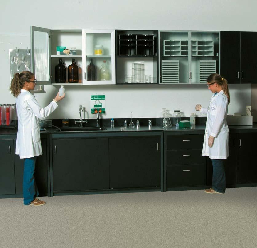 The Modular System That Fits Your Work Modular Millwork for Labs and Health