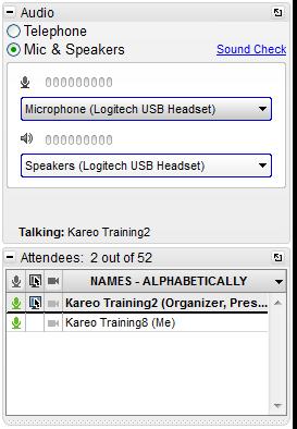 Audio Once you have joined the online portion of the session, audio information is provided in the Audio pane of the Control Panel.