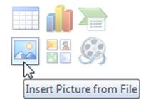 Microsoft PowerPoint Lesson 10 You can click inside a placeholder to insert text or an object.