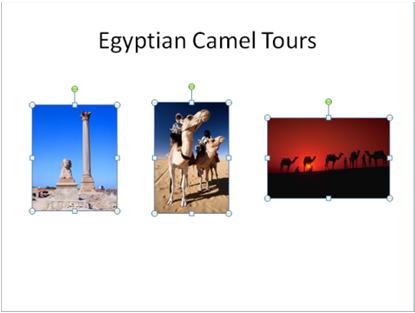 Lesson 10 Microsoft PowerPoint E XERCISE In this exercise you will insert pictures onto different slides in the presentation. 1. Ensure the Introducing Camel Tours Student presentation is active and that you are viewing the last slide (chart).