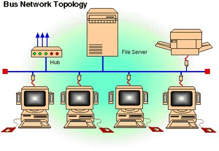 which files and peripherals to share Peer-to peer is not suited for networks with many NIC Peer-to-peer is easy to set up; example: home networks Slide 13 Slide 14 Client-Server Networks LAN