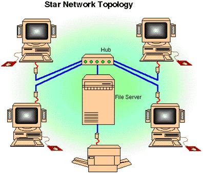 corrupt data occur when different use the network at the same time Click totopology see examples Ring Star topology Bus Typical corporate networks are client-server Client-server requires various