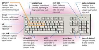 Input Devices: Giving Commands Keyboard Mouse Other Pointing Devices 2006 Prentice-Hall, Inc Slide 4 Keyboard The keyboard allows the computer user to enter words, numbers, punctuation, symbols, and