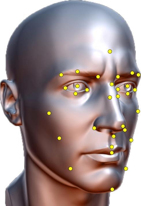 All points remain on specific facial landmarks as the head moves throughout 3D space.