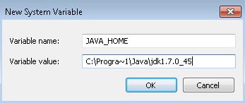 Enter JAVA_HOME as Variable name. 10. As Variable value enter the following. This should be the value you verified in the Set the Environment variables section - step 2. C:\Progra~1\Java\jdk1.7.