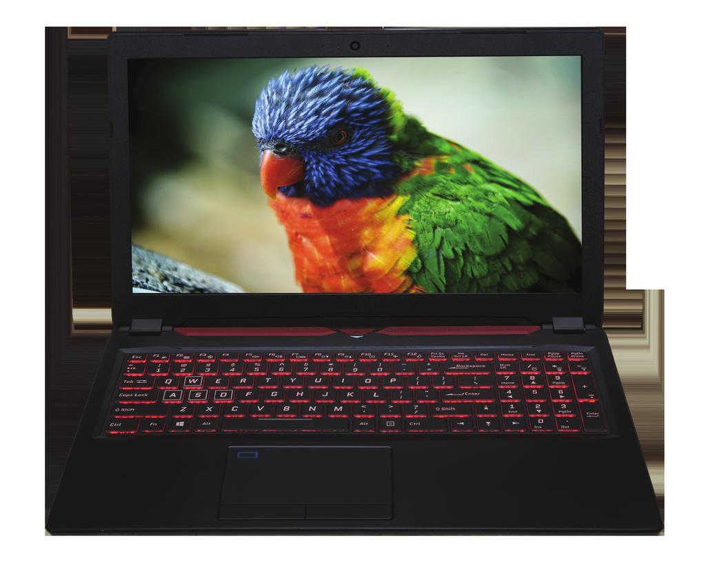 Microphone FHD Webcam 7-colour backlit keyboard Q6 Gives you your Choice of Display The