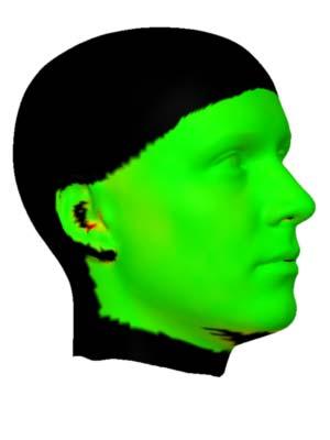 The whole dataset has been registered starting from two reference meshes of a full head with open and closed mouth.
