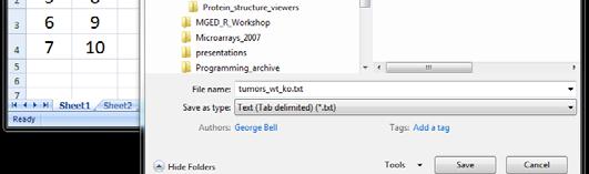 Check that file is there list.files() Read file tumors = read.