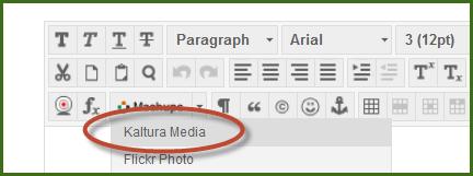 When you press the Mashups button you will be able to add Kaltura Media to the assignment right from the My Media Library