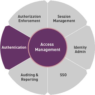 COMPONENTS- Oracle Access Manager Oracle Access Manager s Access System provides centralized