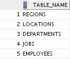 Table Information USER_TABLES: DESCRIBE user_tables SELECT table_name FROM user_tables; USER_TABLES View You can use the USER_TABLES view to obtain the names of all of your tables.