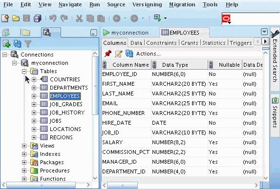 Browsing Database Objects Use the Database Navigator to: Browse through many objects in a database schema Do a quick review of the definitions of objects Browsing Database Objects After you create a