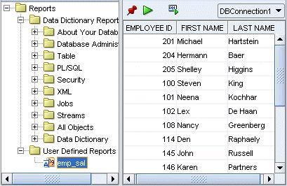 In the Create Report Dialog box, specify the report name and the SQL query to retrieve information for the report. Then, click Apply.