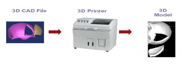 The RP machine processes the STL file by creating sliced layers of the model. The first layer of the physical model is created.