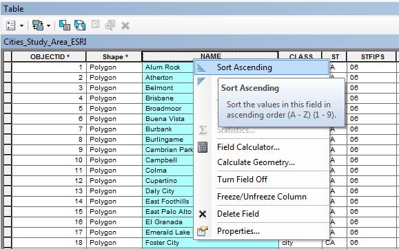 7. There are a few ways to sort the information in this table. Right-click on the NAME field heading and note the options provided in this menu.