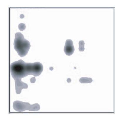 ALGORITHM - creating derived space - greyscale intensity is combination of: - blurred proximity relationships from original scatterplot image: