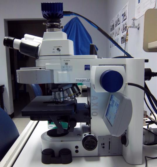 Zeiss AxioImager.Z2 Fluorescence Protocol 1) System Startup Please note put sign-up policy.