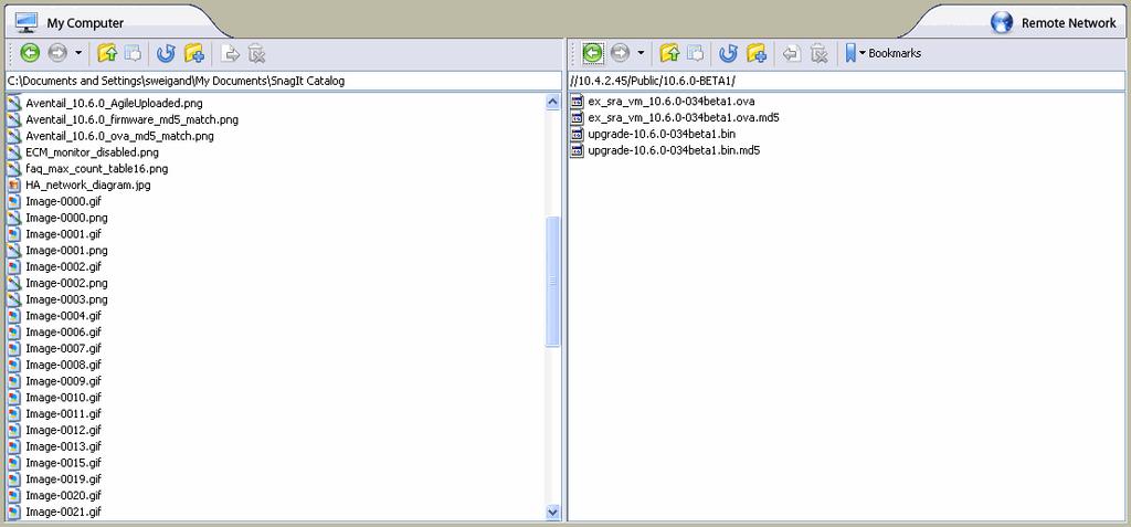 Network Explorer leverages Sun s Java platform browser plug-in to increase usability by mimicking the common Windows Explorer interface, featuring drag and drop and multiple file selection