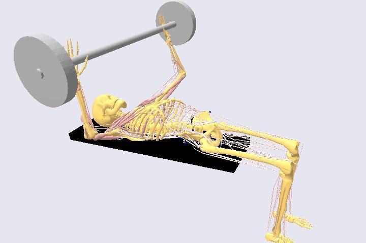RIGID BODY MECHANICS Forward dynamics is often used for musculoskeletal simulation Can be used