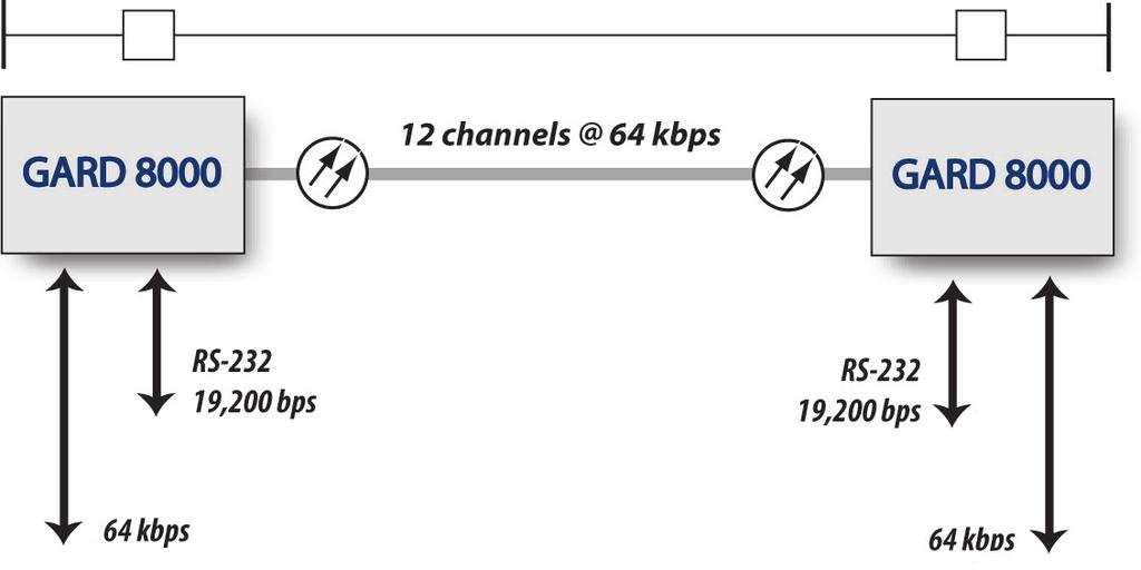 System Specifications (continued) The GARD 8000 System provides 24 channels, each carrying 64 kbps data.