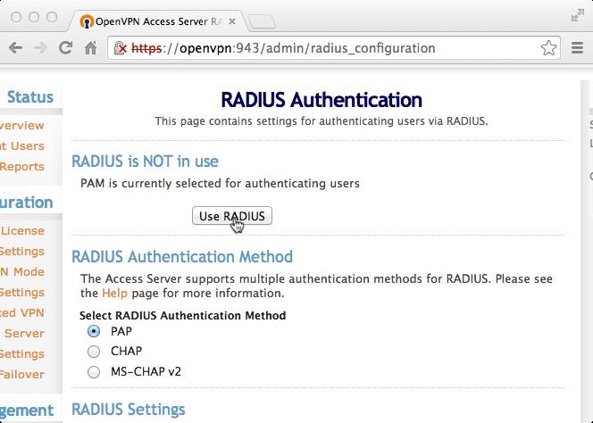 2. Under Authentication click RADIUS: 3.