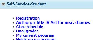 Students may also view final grades on their unofficial transcript as well as on their DegreeWorks audit. Both are accessible in the Student Tab in the portal.
