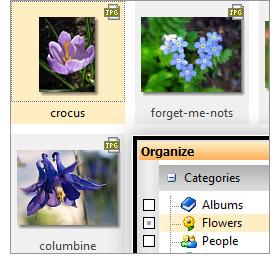 Drag and drop photos into Windows file folders, add keywords and ratings, edit your metadata, and create your own categories.