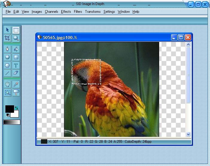 Image editing applications are specialized and powerful tools for enhancing and retouching existing bitmapped images.