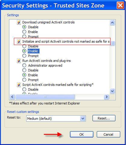 Scroll down and look for the ActiveX controls and plug-ins section and the Initialize and script ActiveX controls not marked as safe for scripting setting.