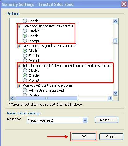 not marked as safe for scripting setting. Click on Enable for this setting.